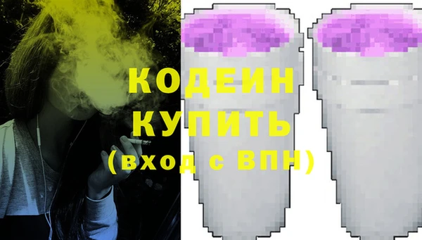 стаф Зерноград