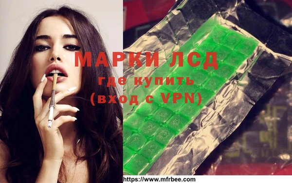 стаф Зерноград
