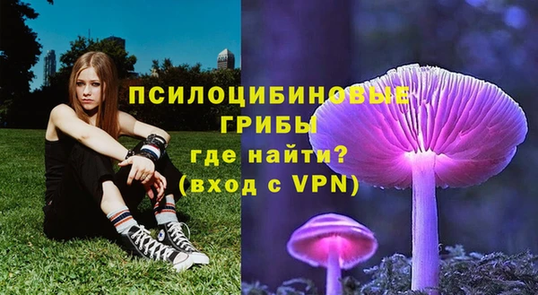 марки lsd Инта