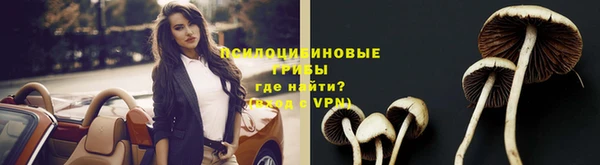 Альфа ПВП Иннополис