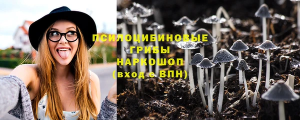 трава Инсар