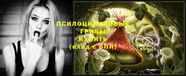 трава Инсар